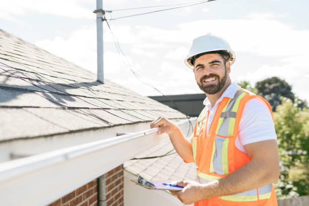 Best Roof Moss and Algae Removal  in East Troy, WI