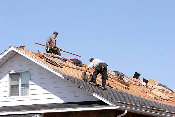 Best Green or Eco-Friendly Roofing Solutions  in East Troy, WI